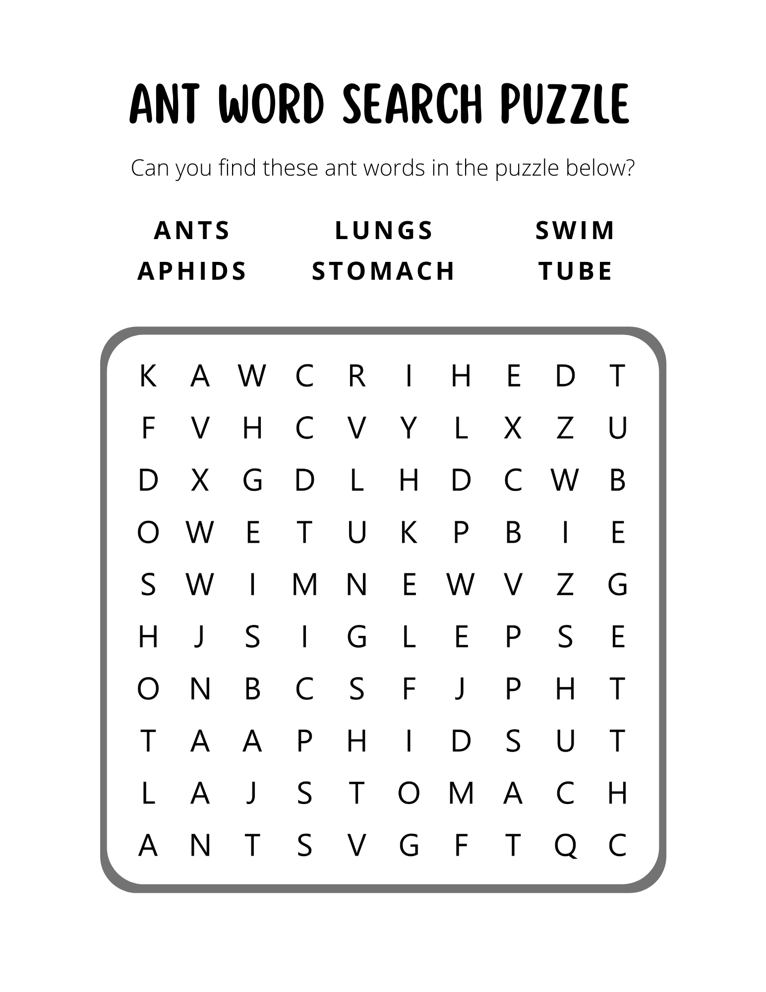 Bugs & Insects Activity Book