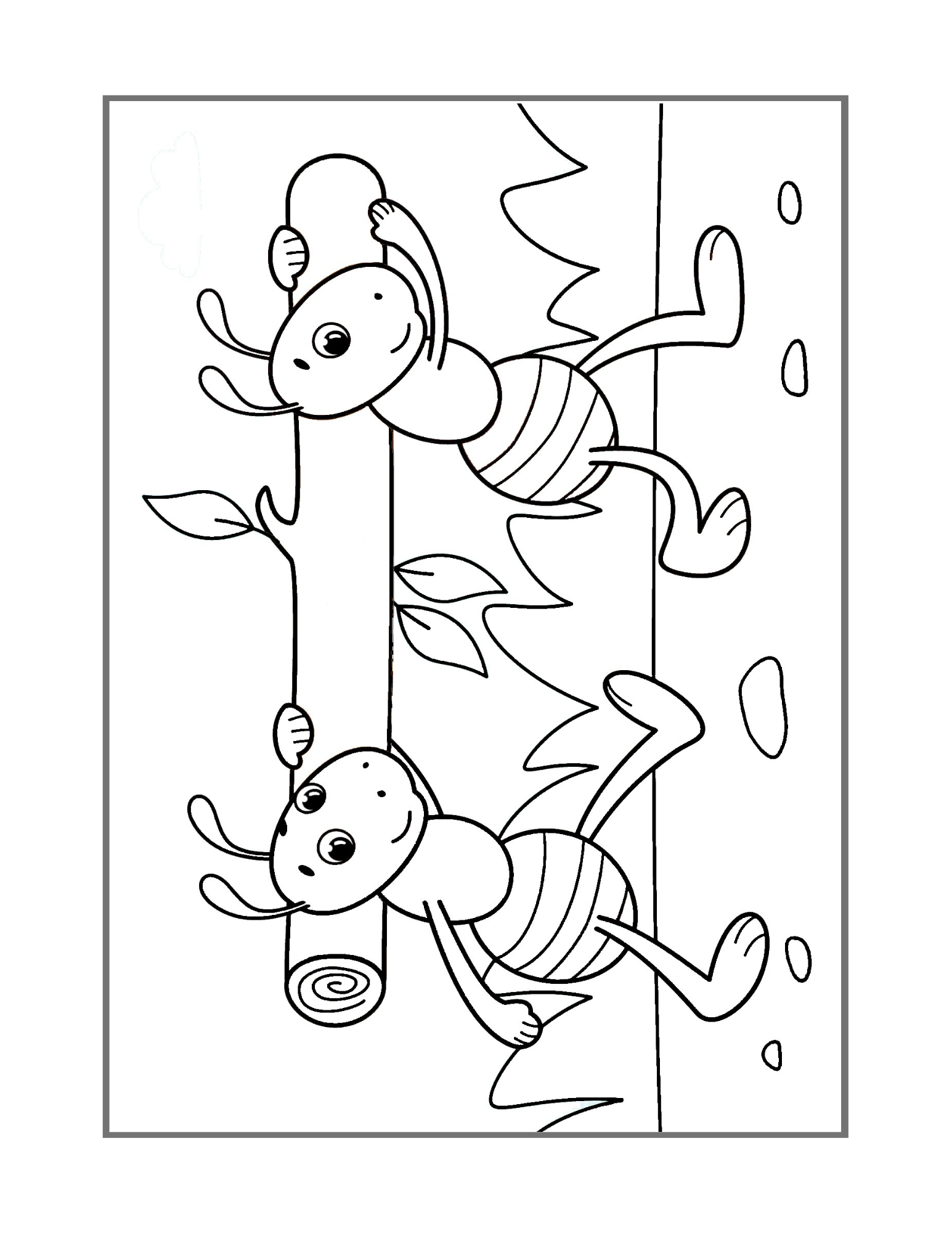 Bugs & Insects Activity Book