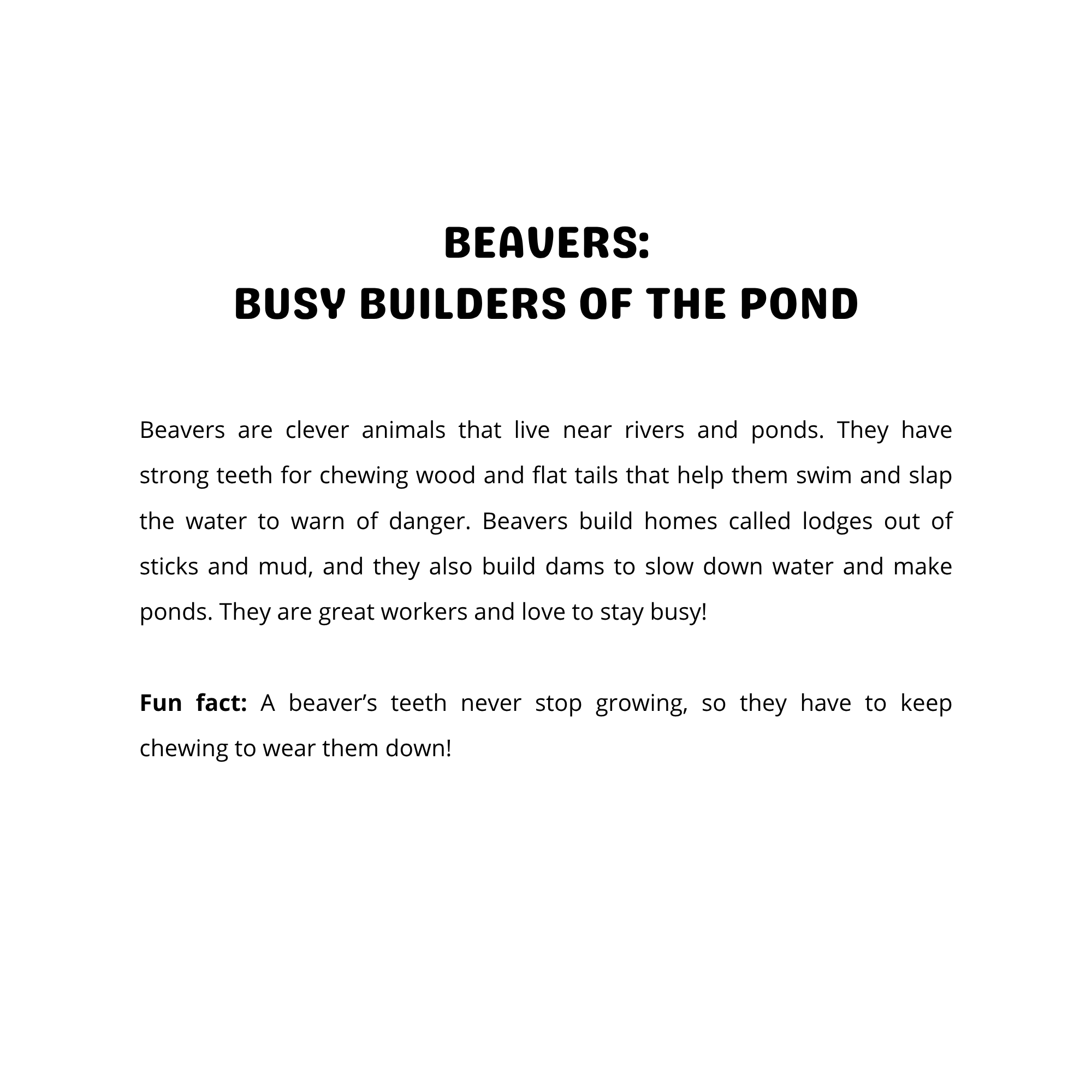 Marvelous Mammals: Field Guide Coloring Book for Kids