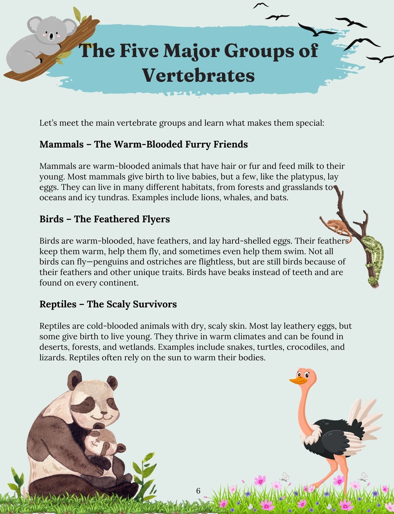 Amazing Animals: Creatures Great and Small