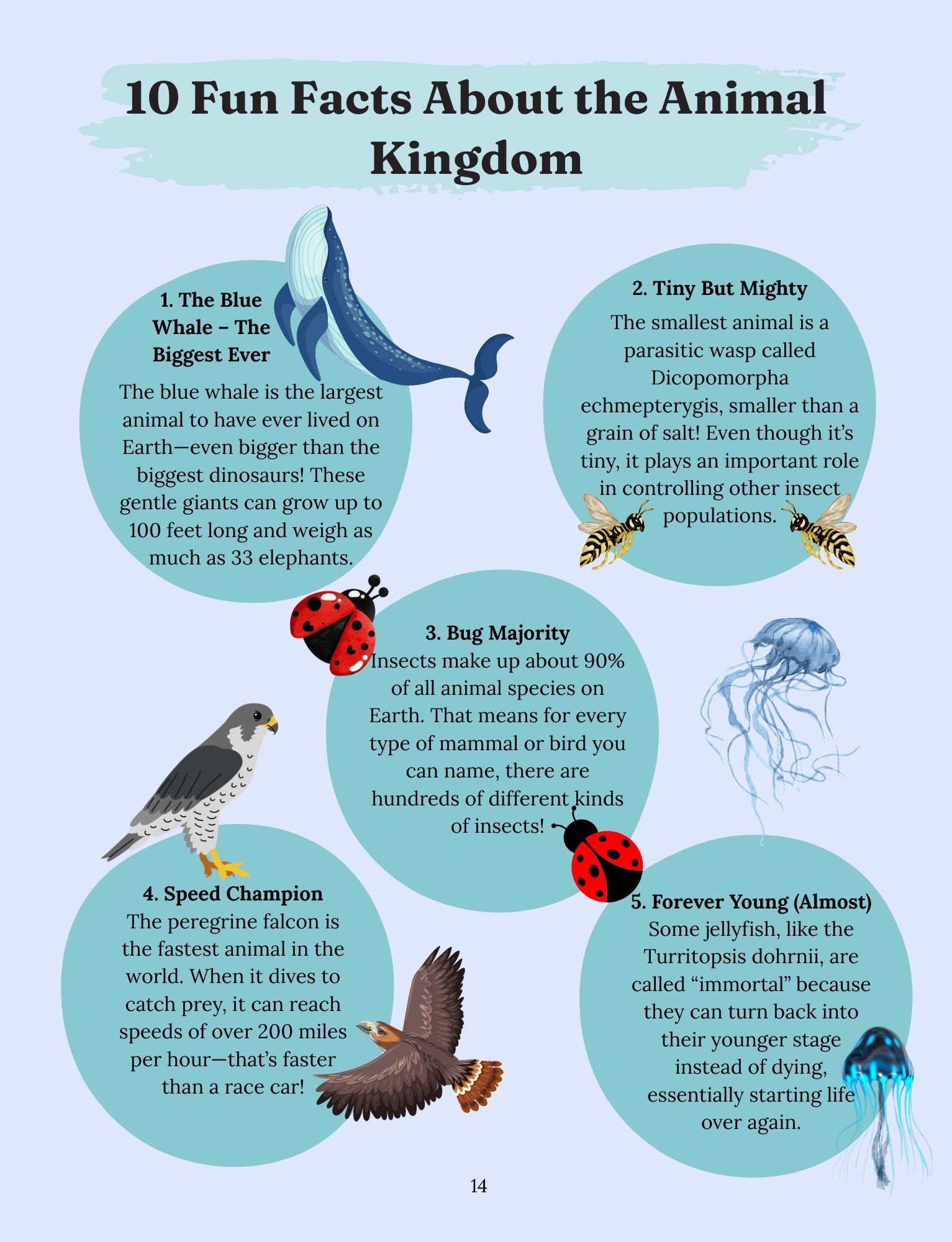 Amazing Animals: Creatures Great and Small