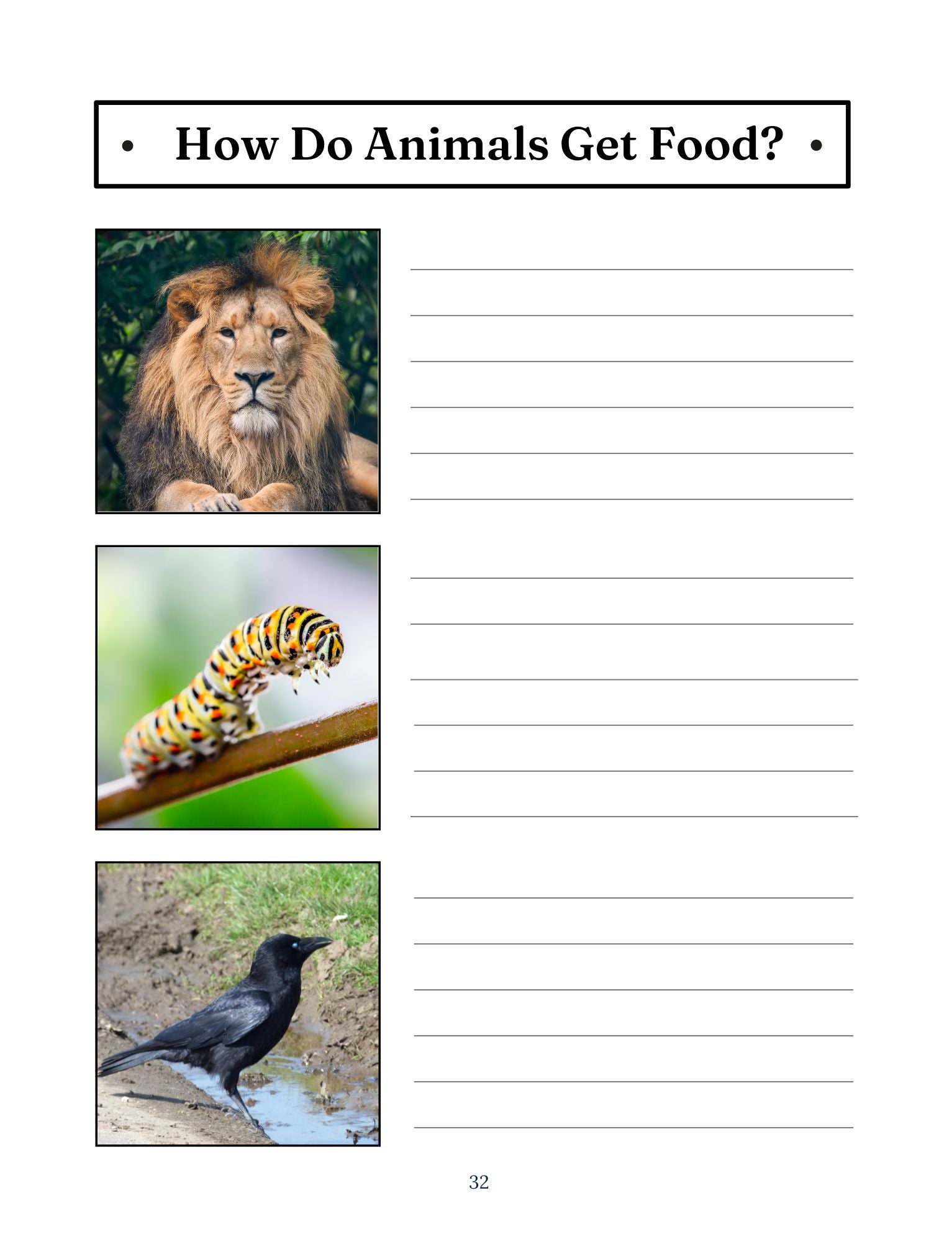 Amazing Animals: Creatures Great and Small