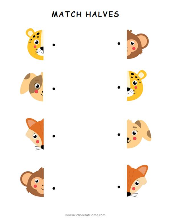 Animals Preschool Activity Book