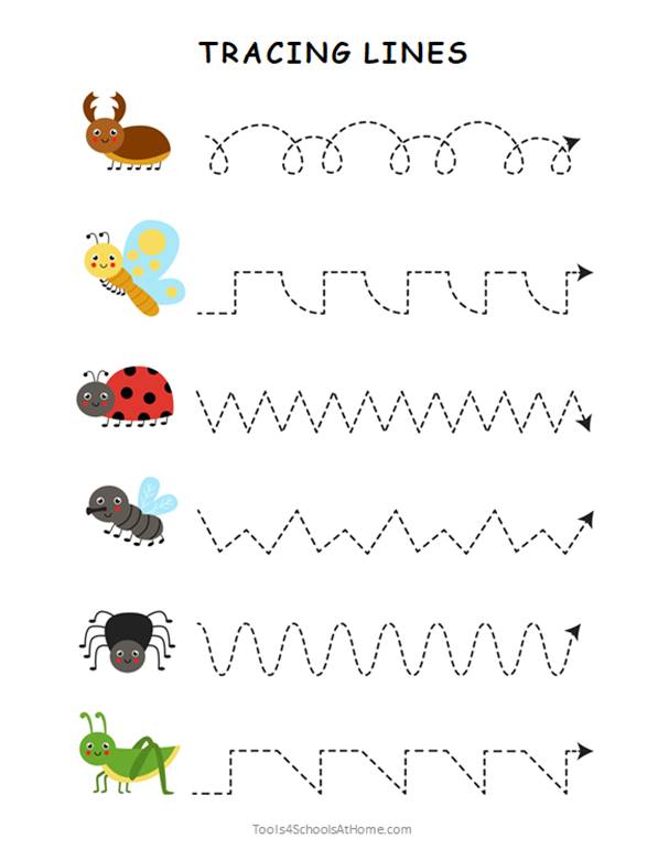 Animals Preschool Activity Book