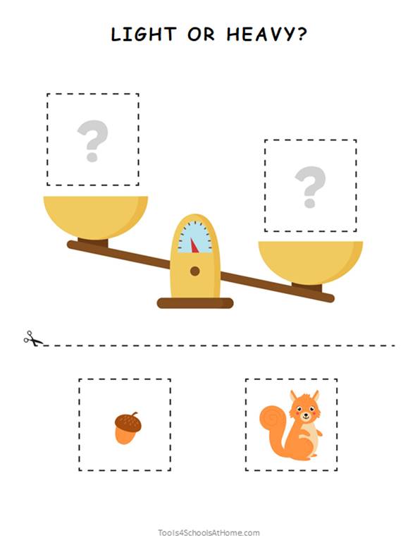 Animals Preschool Activity Book