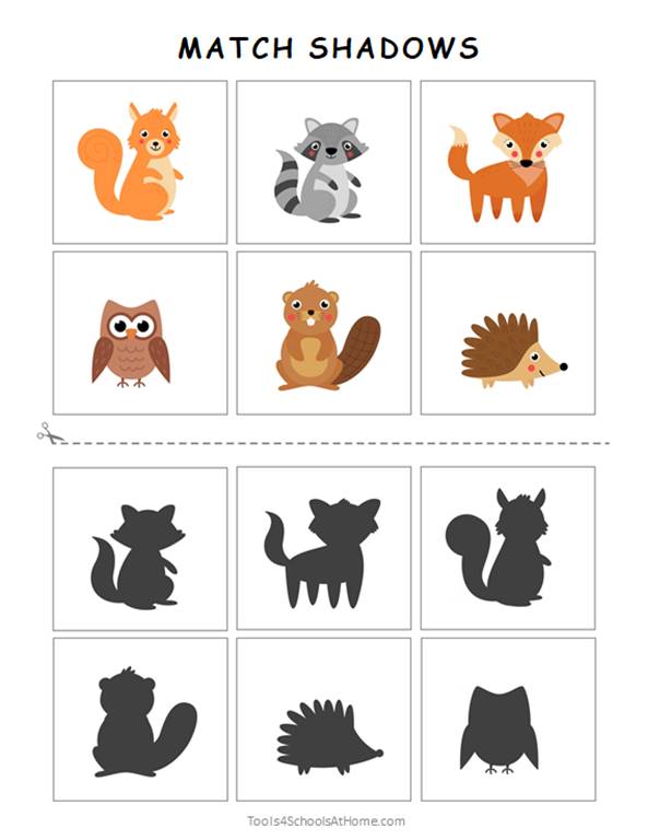 Animals Preschool Activity Book