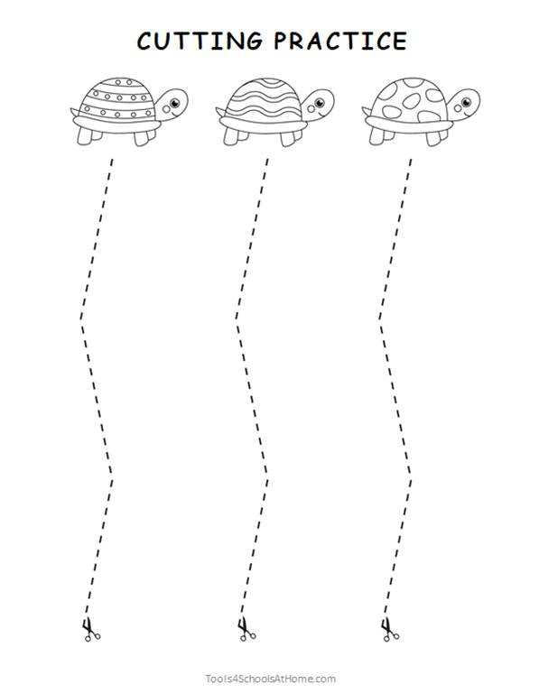 Animals Preschool Activity Book