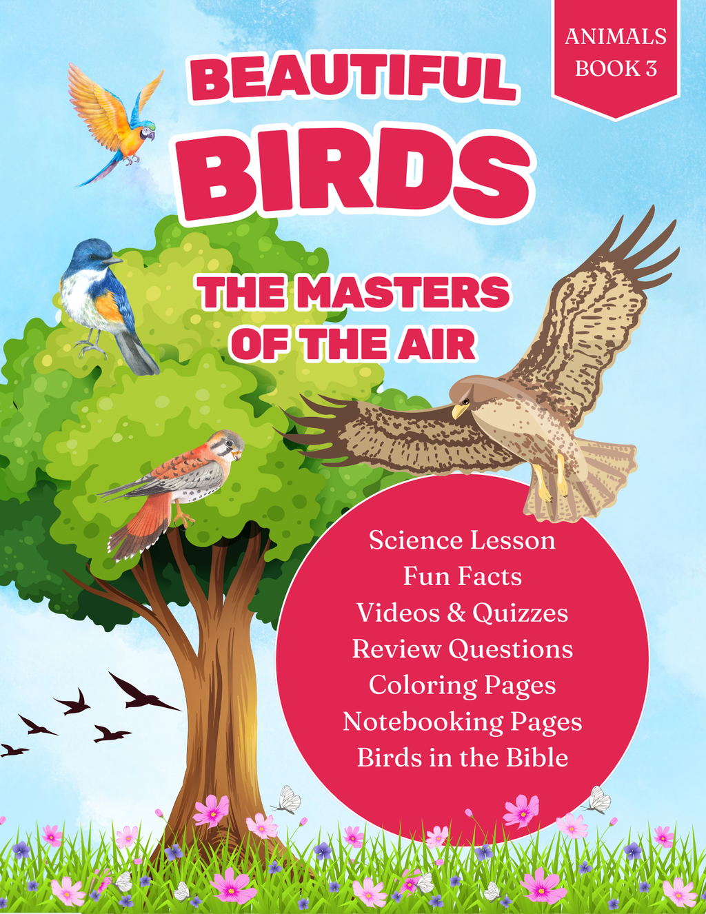Beautiful Birds: The Masters of the Air