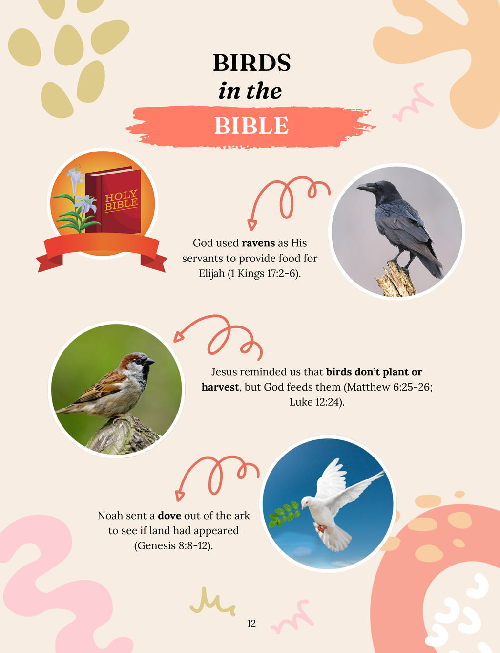 Beautiful Birds: The Masters of the Air