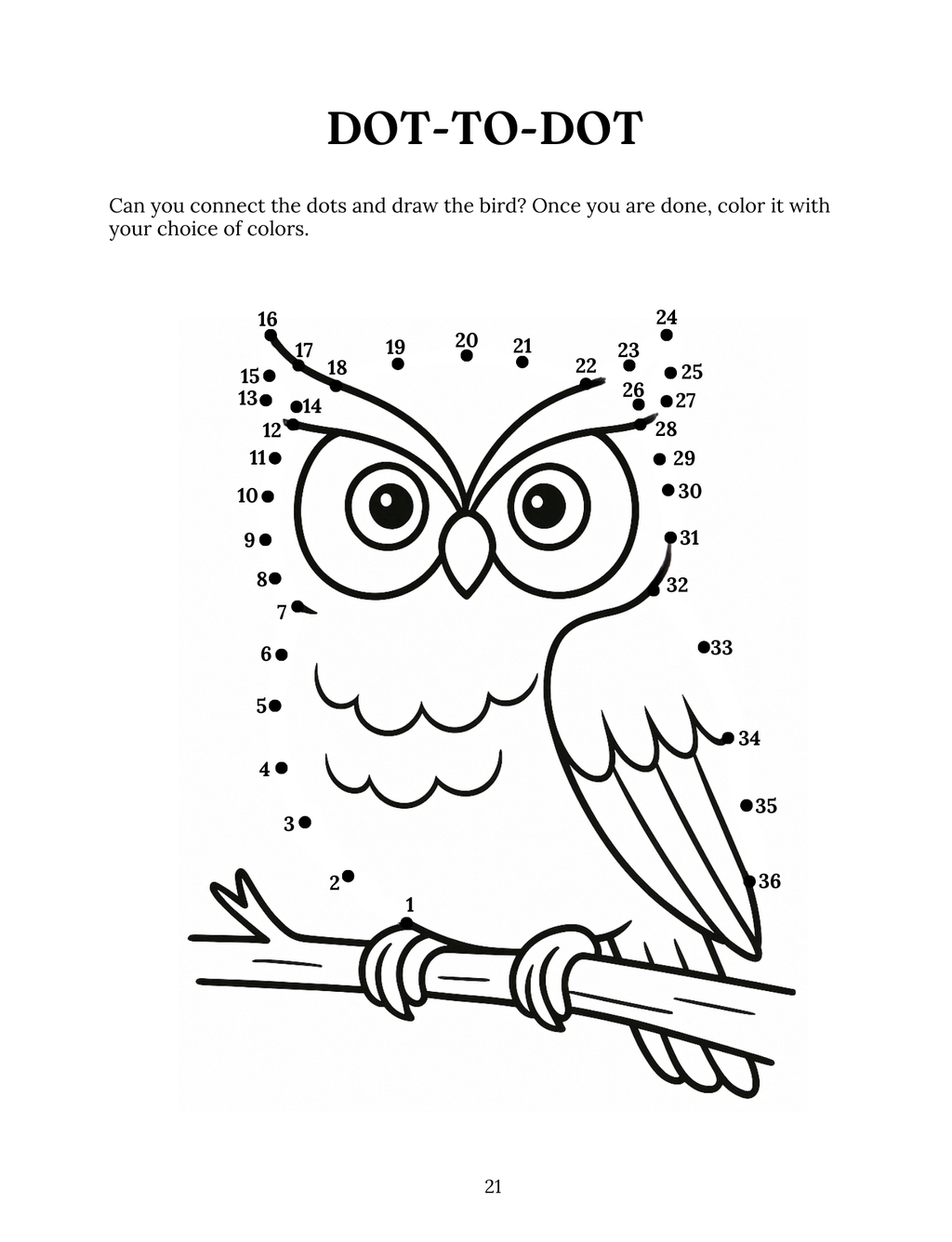 Beautiful Birds: The Masters of the Air