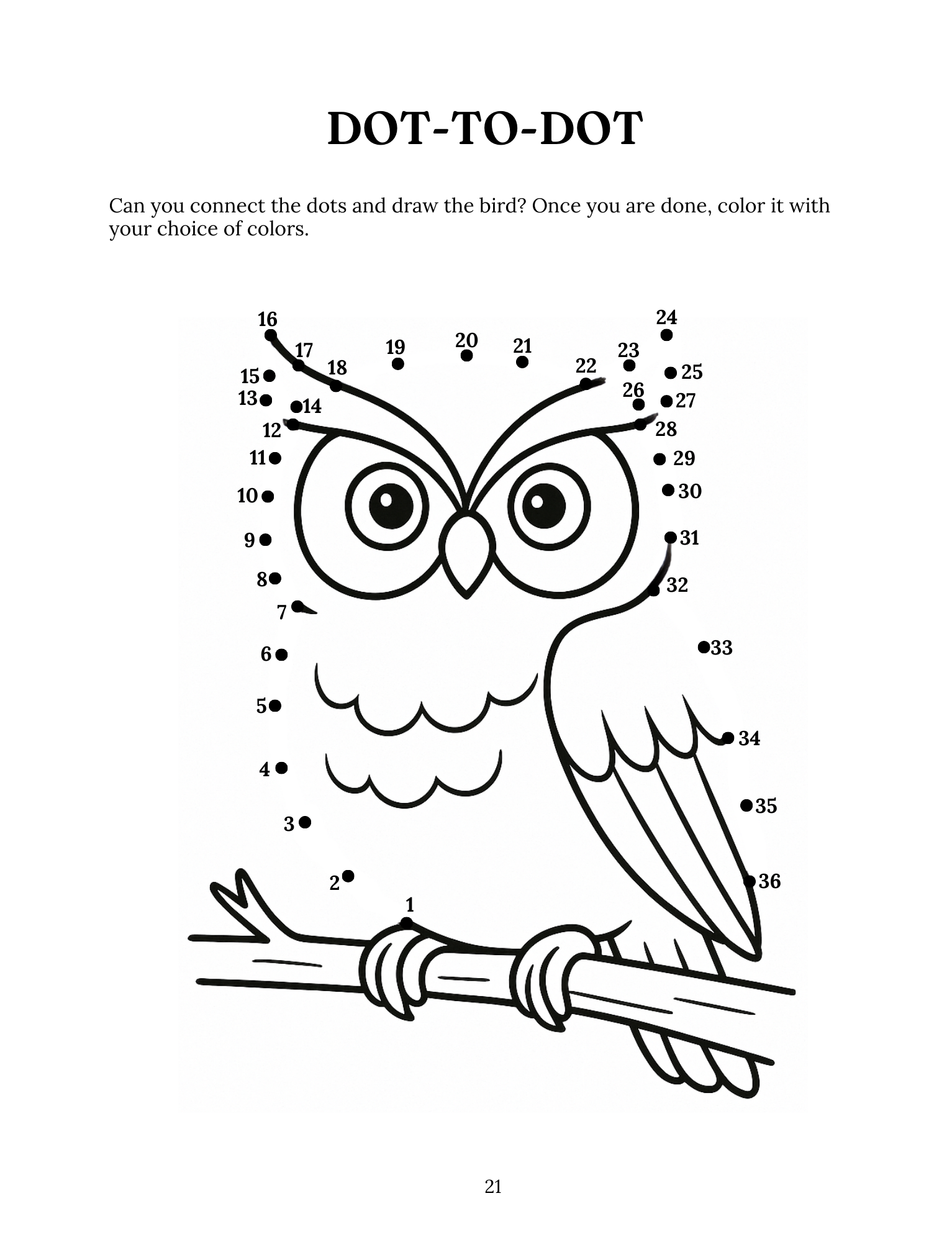 Beautiful Birds: The Masters of the Air