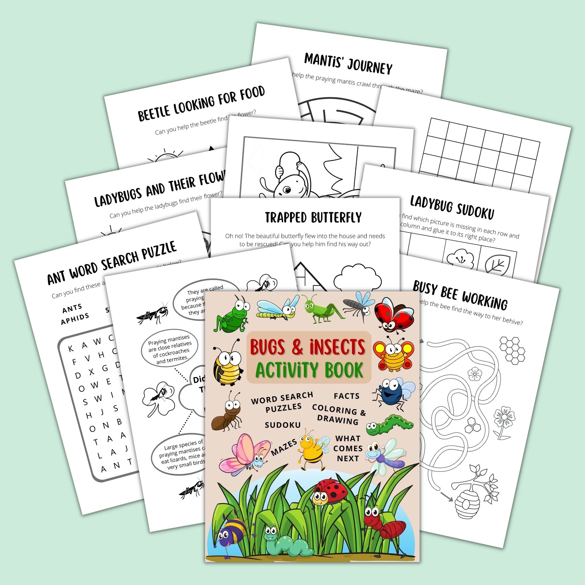 Bugs & Insects Activity Book