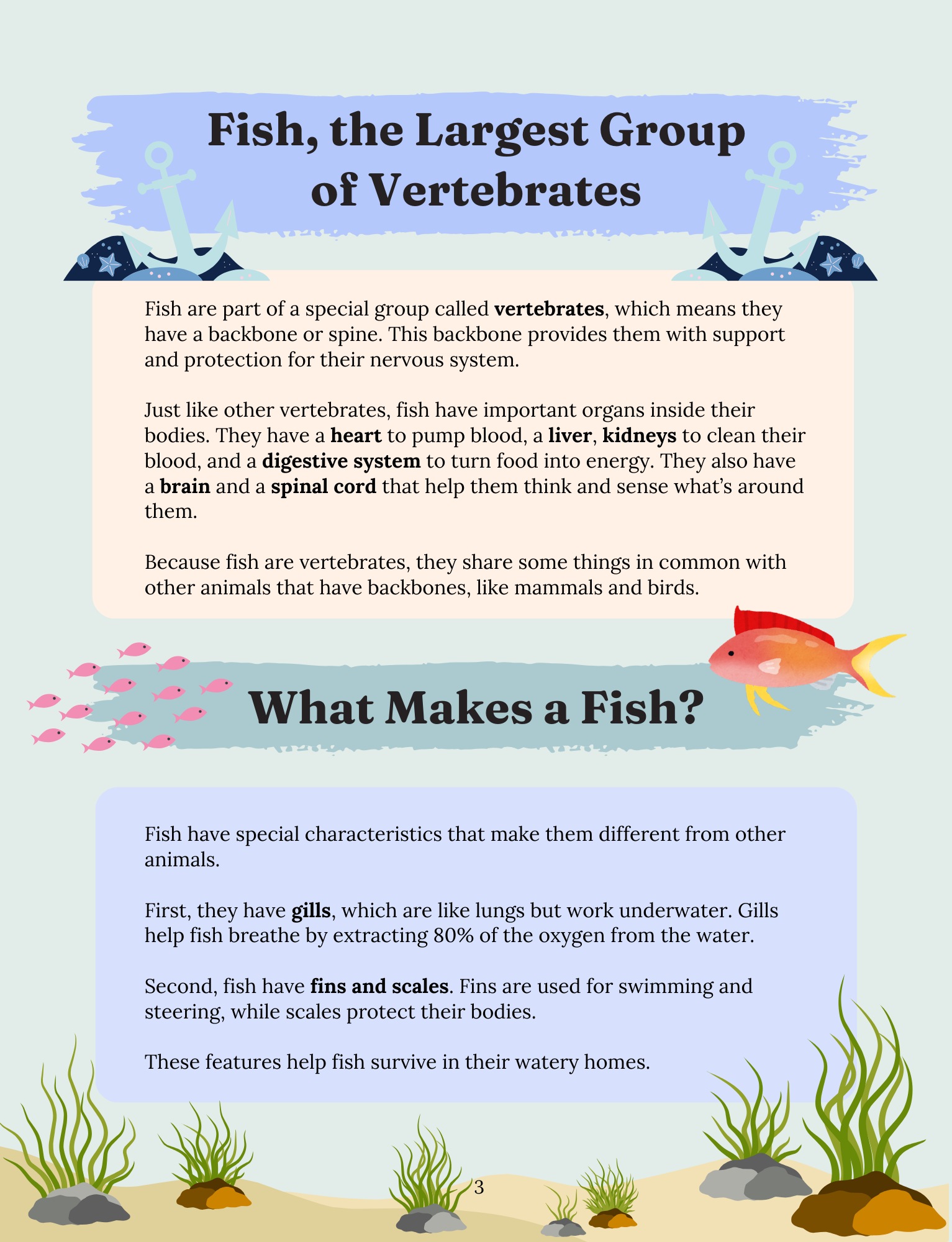 Fascinating Fish: The Aquatic Wonders