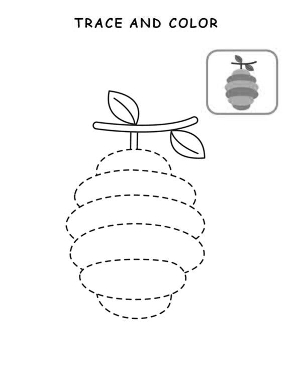 Handwriting Practice for Pre-K