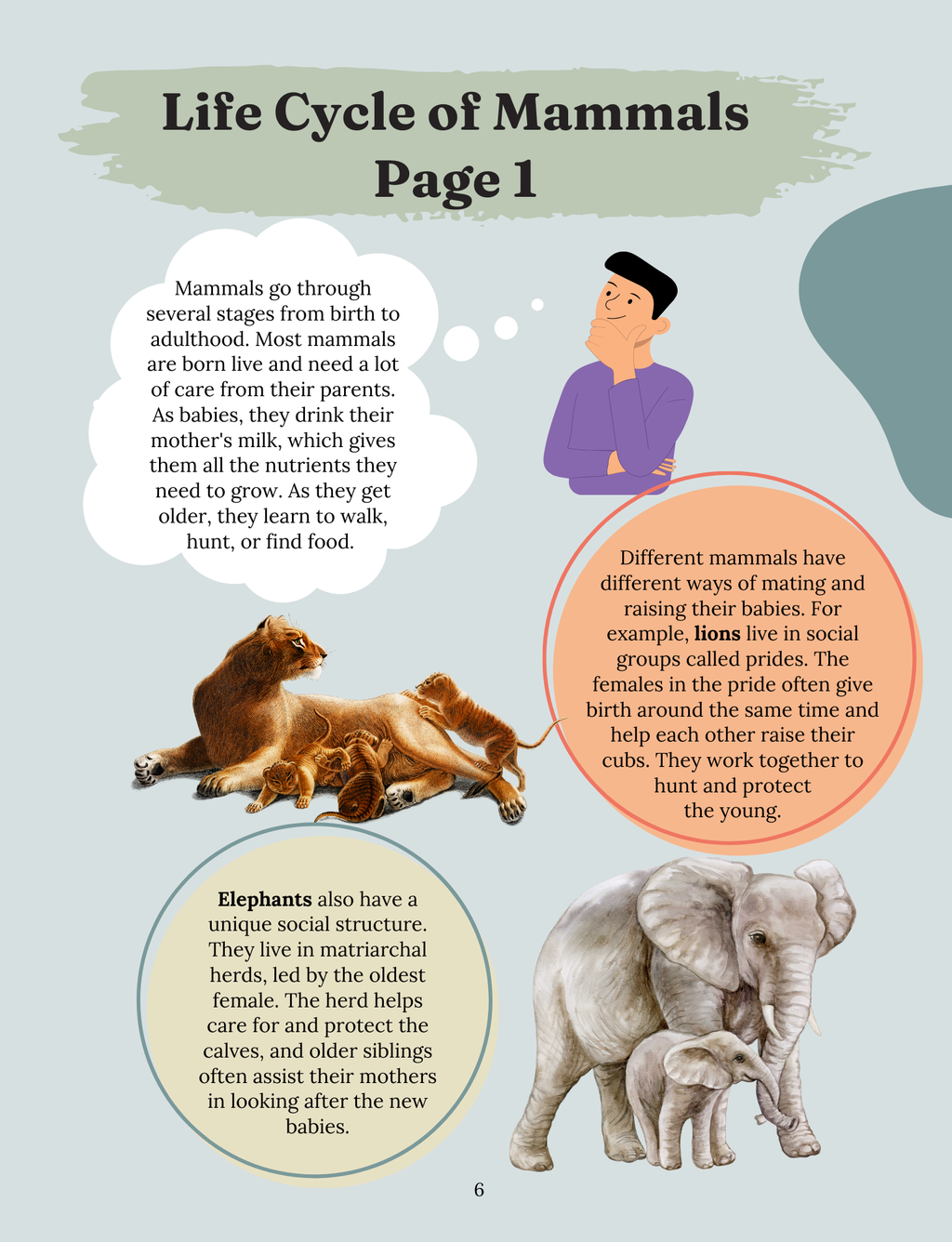 Marvelous Mammals: Our Furry Friends