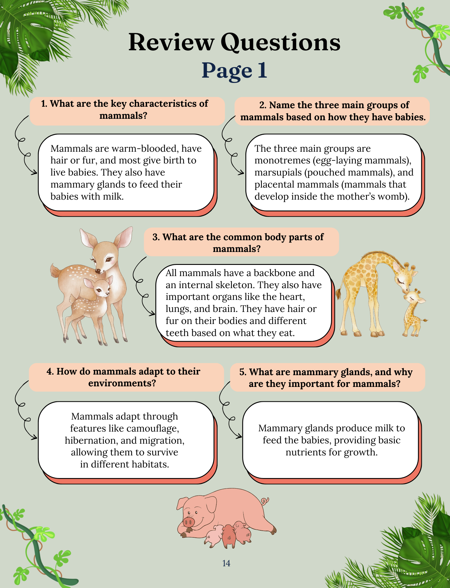 Marvelous Mammals: Our Furry Friends