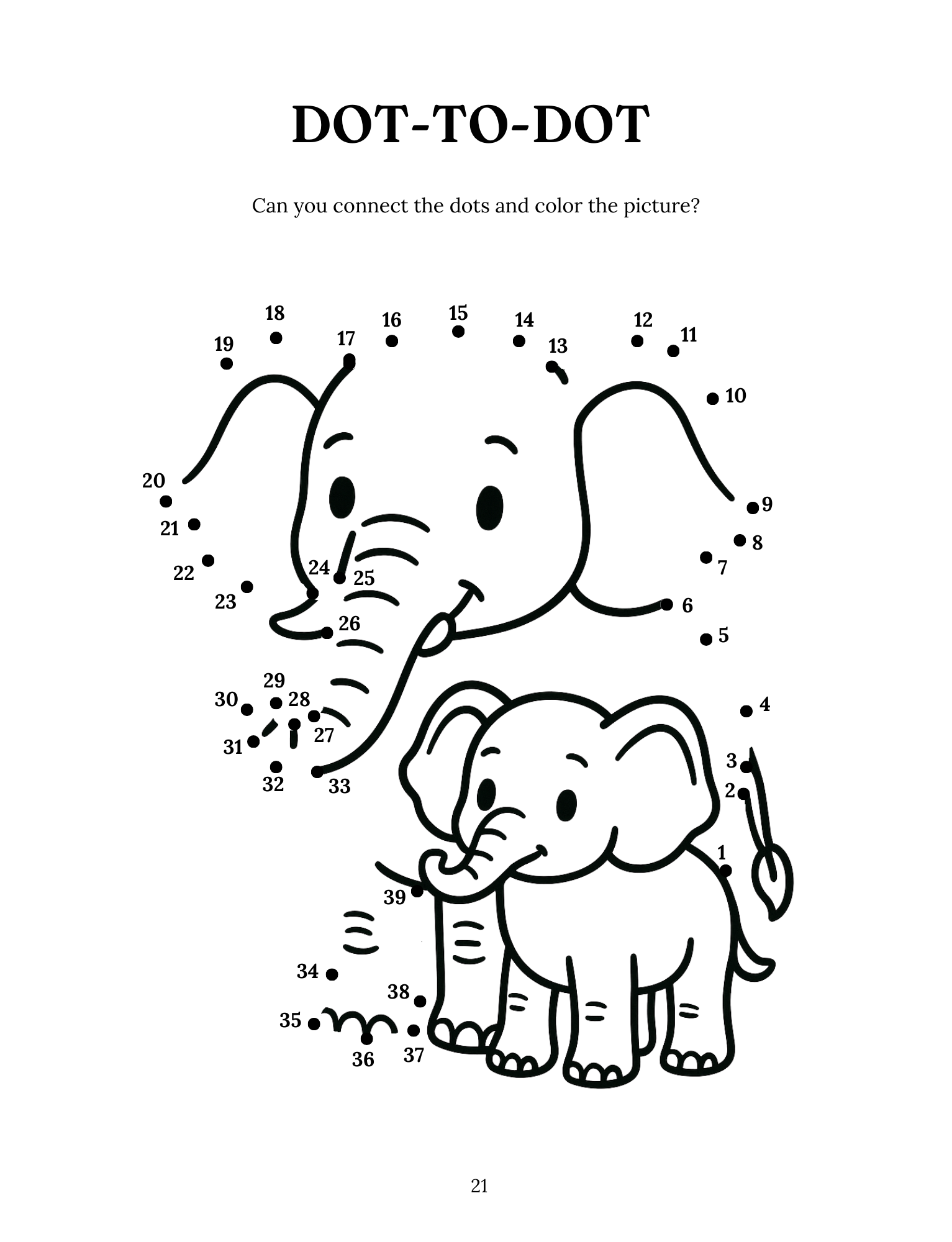 Marvelous Mammals: Our Furry Friends