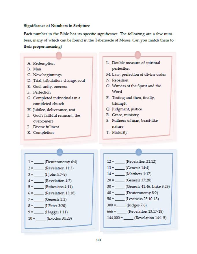 Mystery Beyond the Veil Companion Study Guide
