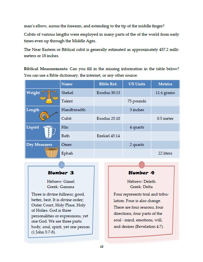 Mystery Beyond the Veil Companion Study Guide