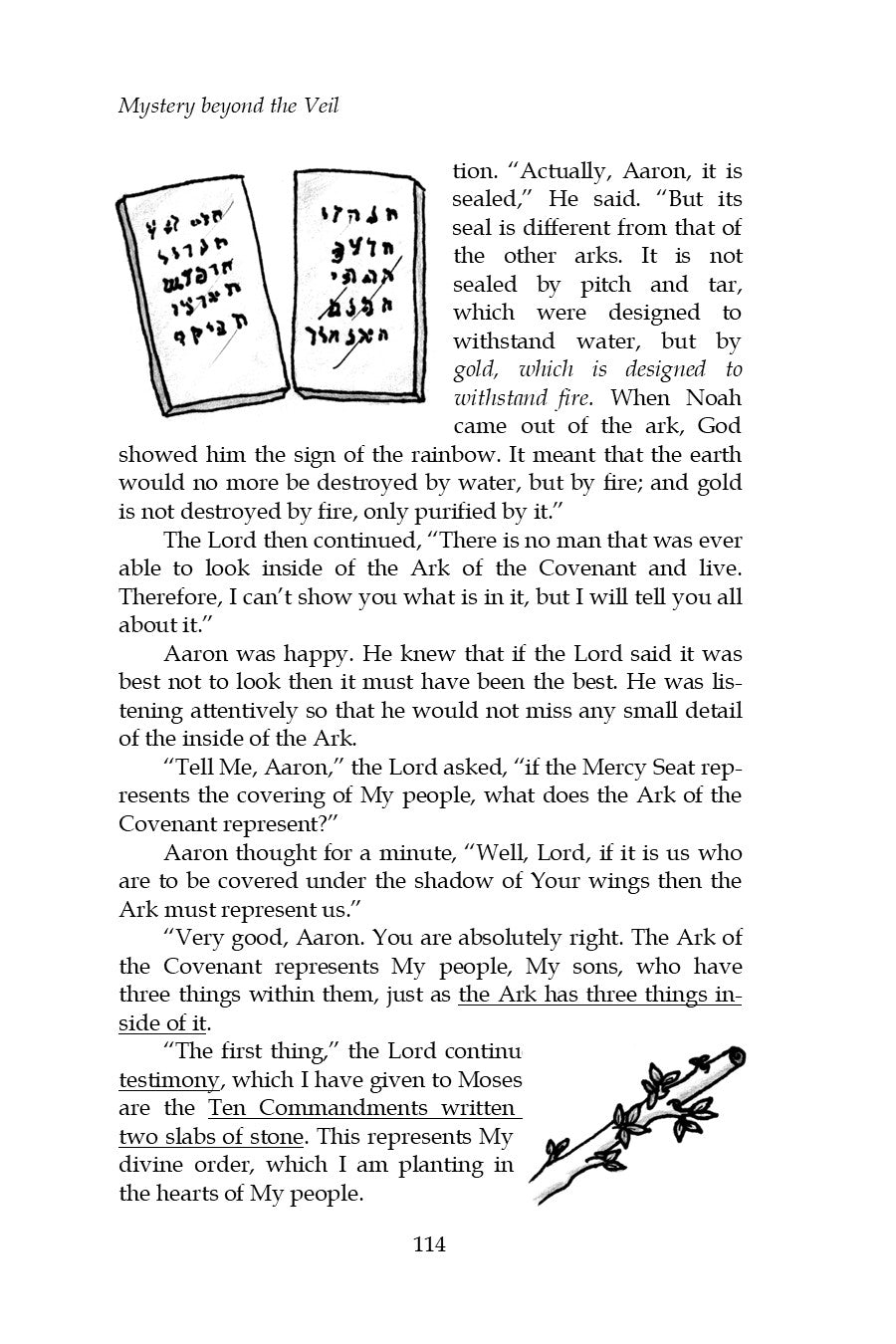 Mystery beyond the Veil